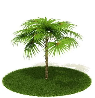 植物国外精品素材装饰素材免费下载家...