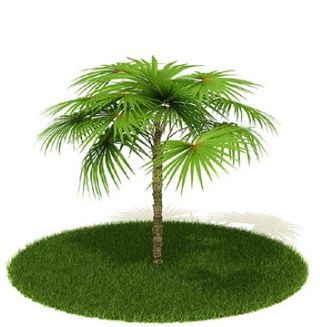 植物国外精品素材装饰素材免费下载家...