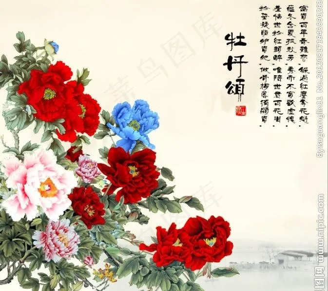 牡丹颂图片