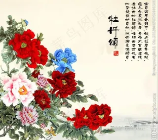 牡丹颂图片