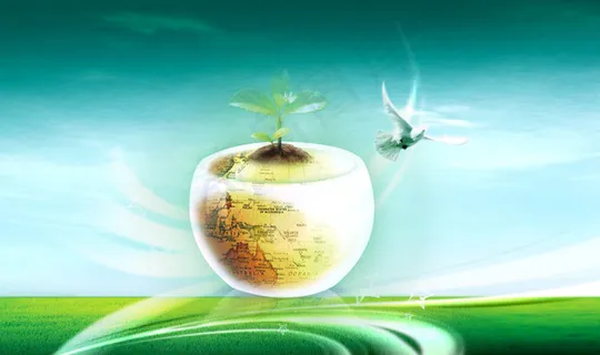 绿色草原和平鸽