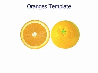 橘子的PowerPoint模板