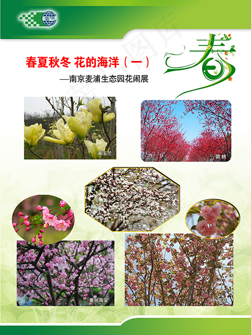 春天花卉(2551X3401(DPI:72))psd模版下载