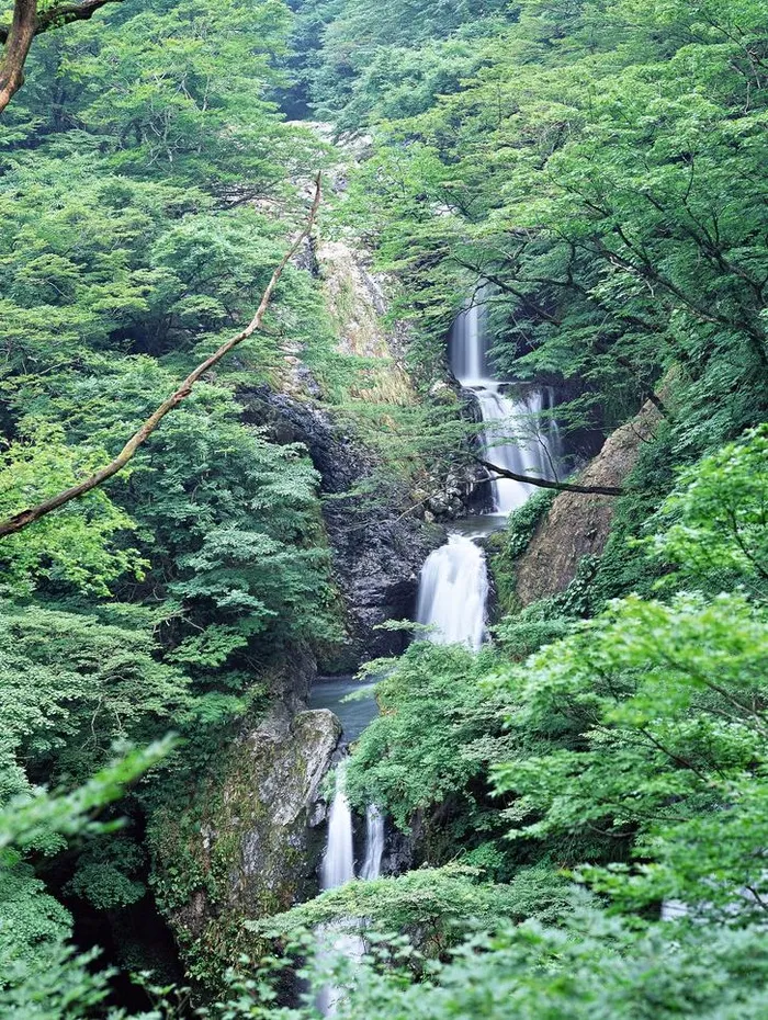 山间小溪图片