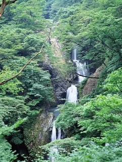 山间小溪图片 山间小溪图片