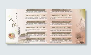 人体十二经络运行时间图片