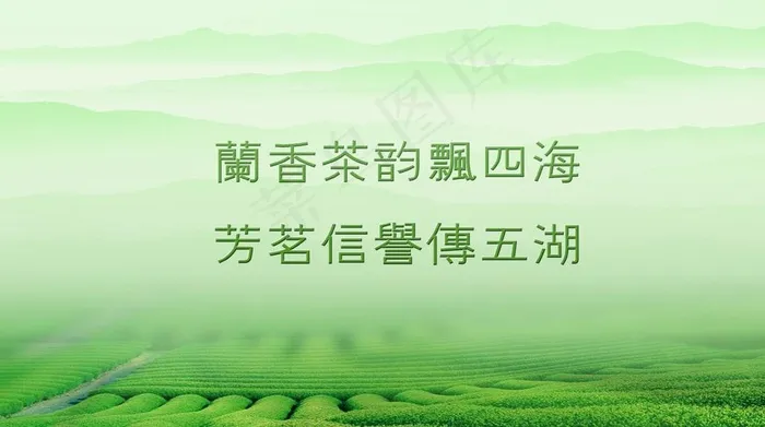 茶田背景设计图片psd模版下载