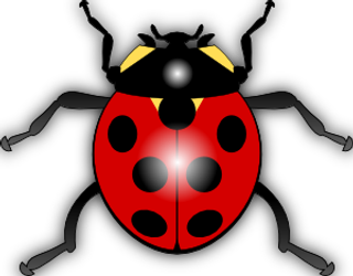 jilagan瓢虫剪贴画