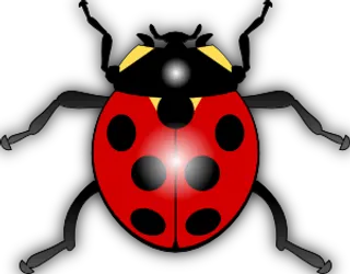 jilagan瓢虫剪贴画