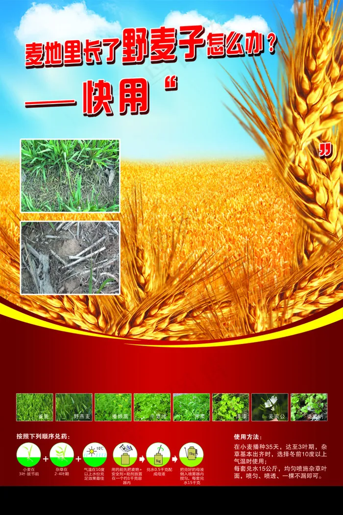 金黄小麦展板(2362X3543(DPI:100))psd模版下载