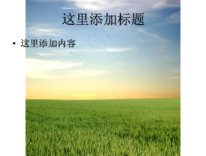 高清晰绿色麦田