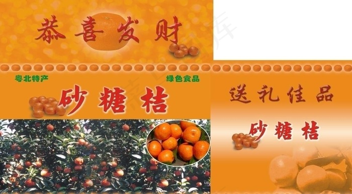 砂糖桔图片cdr矢量模版下载