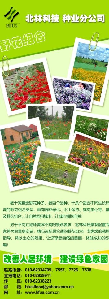 花卉易拉宝图片(2362X5906(DPI:75))psd模版下载