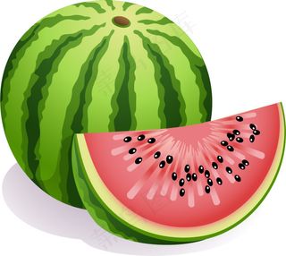 逼真西瓜矢量