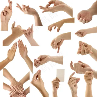 手势 手型