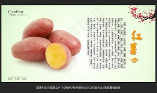 蔬菜展板设计红薯海报招贴广告设计