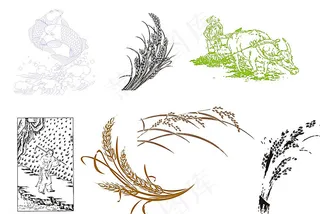 稻米矢量 素材图片