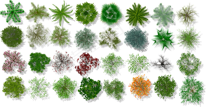 园林平面植物psd素材(9987X5110(DPI:72))psd模版下载