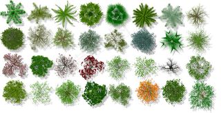 园林平面植物psd素材