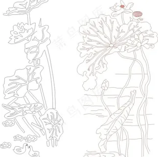 花朵图片 花朵图片