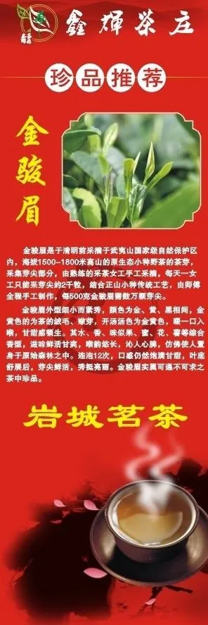 茶x展架图片cdr矢量模版下载