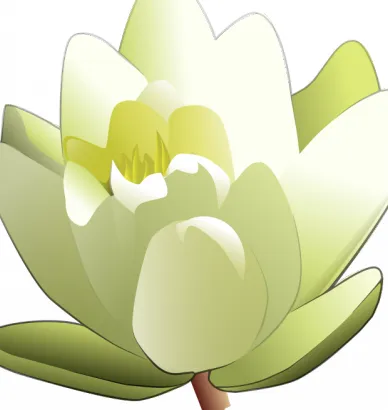 水百合花矢量图像