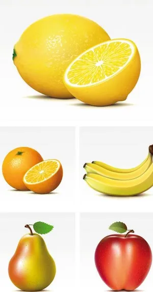 写实水果矢量素材图片