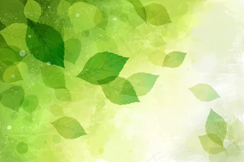 树叶背景 树叶背景