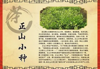 茶叶简介正山小种图片