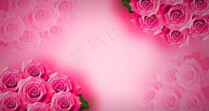 玫瑰花高清背景图片
