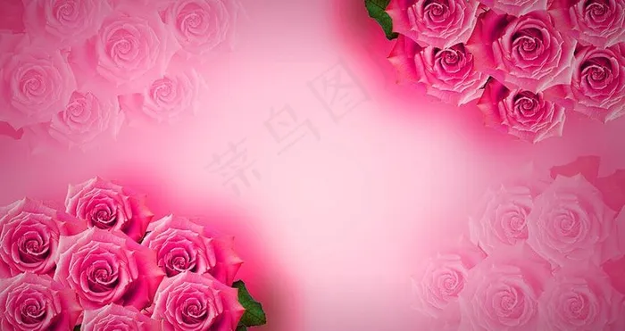 玫瑰花高清背景图片(4134X2480(DPI:300))psd模版下载