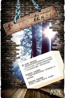 森林之子图片 森林之子图片