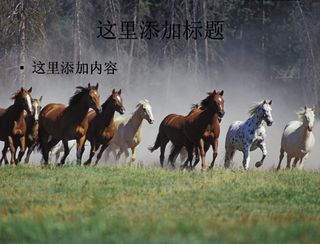 电脑ppt封面风景壮观背景图片(...