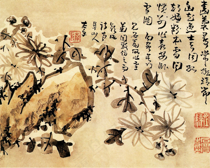 雪菊图