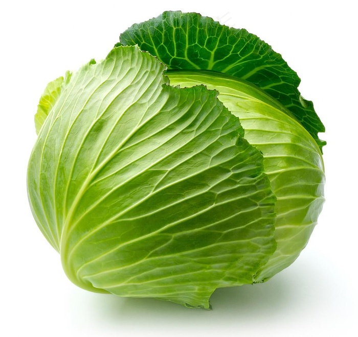 卷心菜图片
