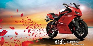摩托车 花瓣图片