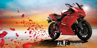 摩托车 花瓣图片