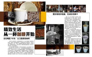 杂志设计矢量图图片