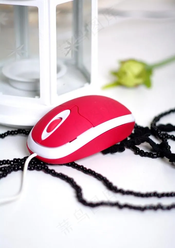 红色小鼠标特写图片