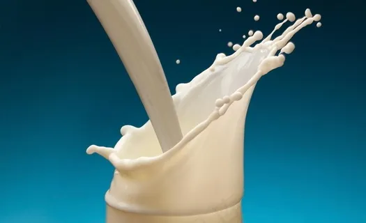 动感牛奶高清图片 动感牛奶高清图片