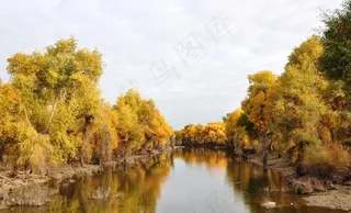 风景画 自然风景图片