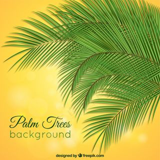 绿色背景矢量图