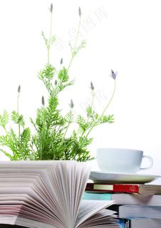 书香图片 书香图片
