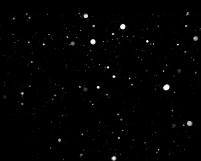 雪花 雪花