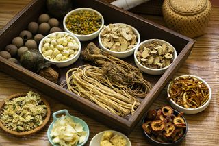 中医中草药药材2