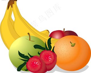 矢量水果图图片
