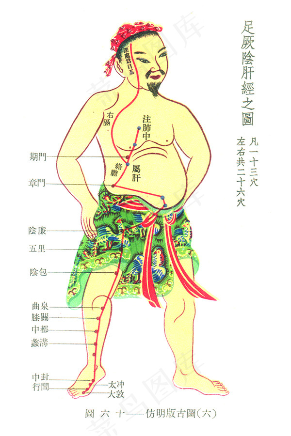 医用人体经络图