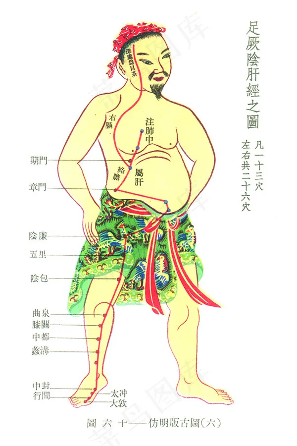 医用人体经络图psd模版下载