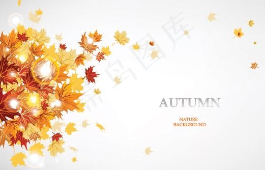 枫叶创意设计矢量素材四