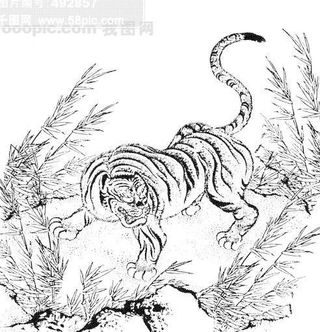 老虎 凶猛的虎 线描 线条老虎 野...